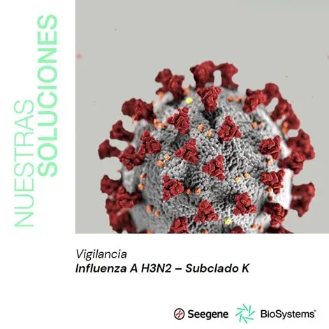 🦠 Vigilancia Influenza A H3N2 – Subclado K