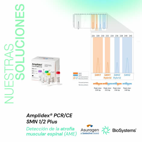 Amplidex® PCR/CE SMN 1/2 Plus