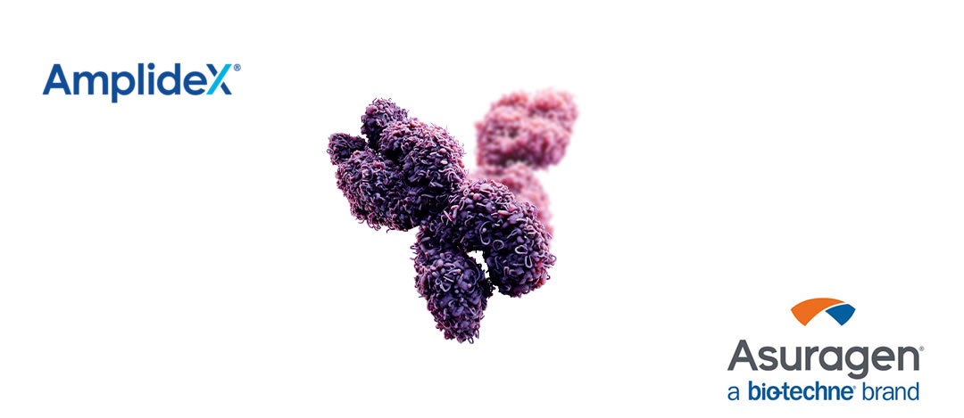 🔬 AmplideX® PCR/CE FMR1: tecnología avanzada para el diagnóstico del síndrome de X frágil