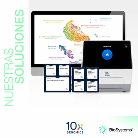 Single Cell con 10x Genomics